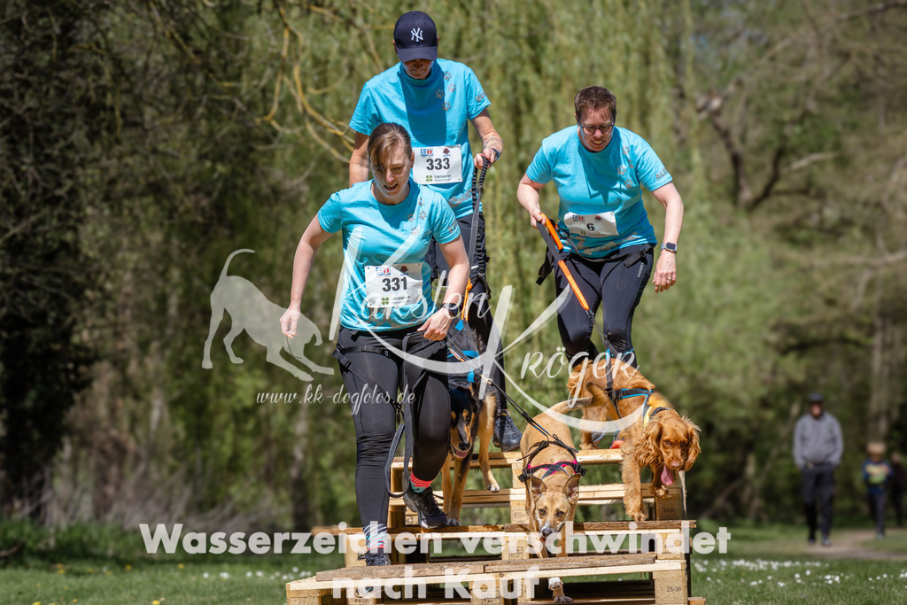 1240_ZZ93138 | kk-dogfotos