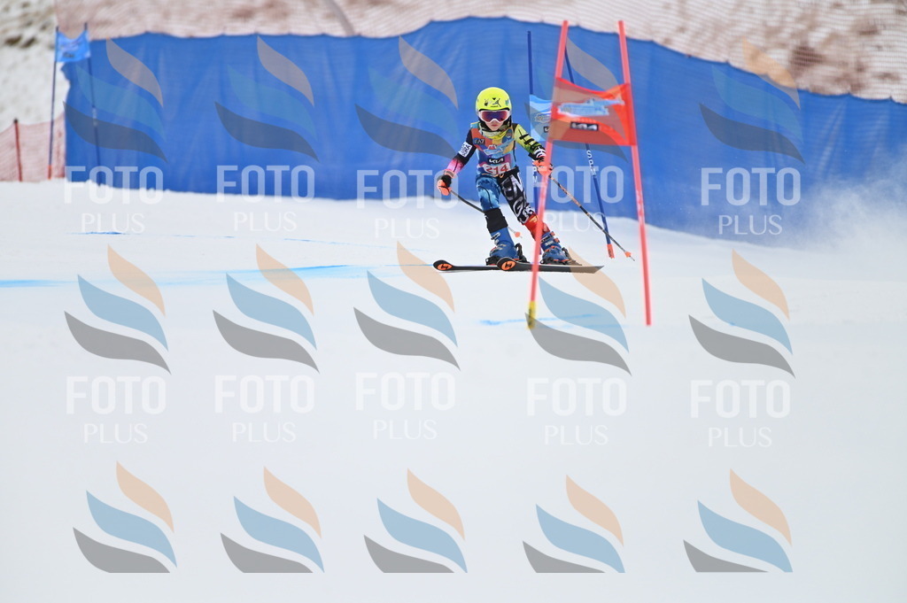 BGV_2641 | holidayphoto