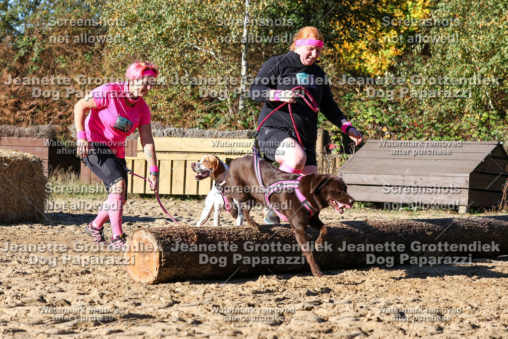 Dog Paparazzi - Strongdog 10-25-1963 | Dog Paparazzi Jeanette Grottendiek Fotografie & Videografie - Realisiert mit Pictrs.com