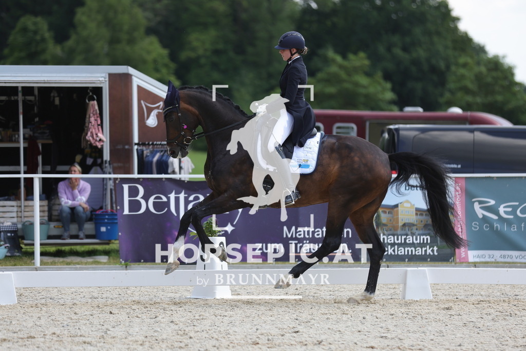0P6A0507 | Willkommen bei Brunnmayr - Design & Fotografie – Ihrem Spezialisten für Reitturniere und Pferdeveranstaltungen in Oberösterreich, Salzburg und Bayern! Seit über 17 Jahren sind wir leidenschaftlich dabei.