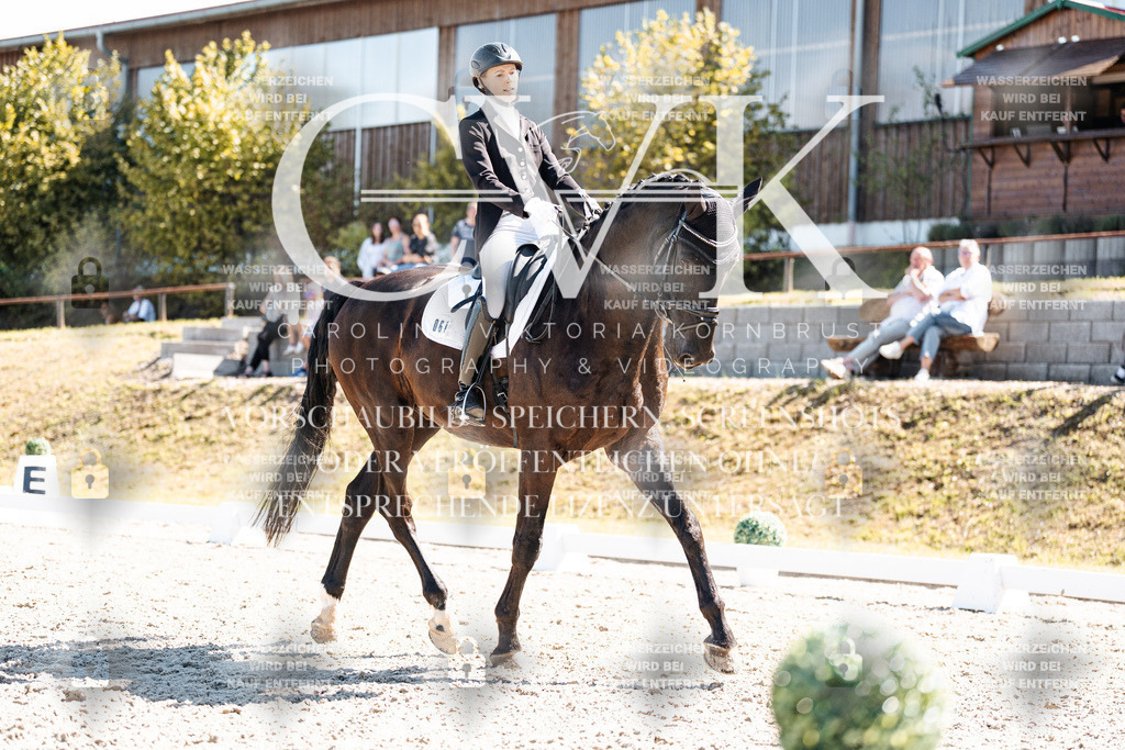CK909897 | Turnierfotografie Pferdefotografie Trier Rheinland-Pfalz Pferdesport Reitsport Tierfotografie Sportfotografie Pferdevideo Pferdevideografie Equestrianvideography equestrianphotography  - Realisiert mit Pictrs.com