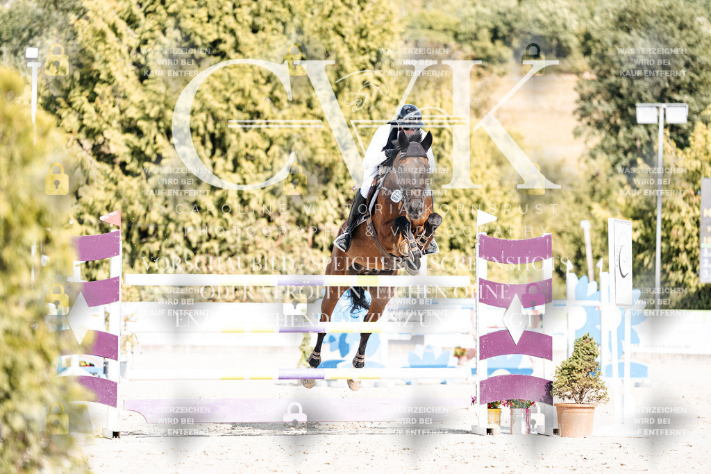 CK909086 | Turnierfotografie Pferdefotografie Trier Rheinland-Pfalz Pferdesport Reitsport Tierfotografie Sportfotografie Pferdevideo Pferdevideografie Equestrianvideography equestrianphotography  - Realisiert mit Pictrs.com
