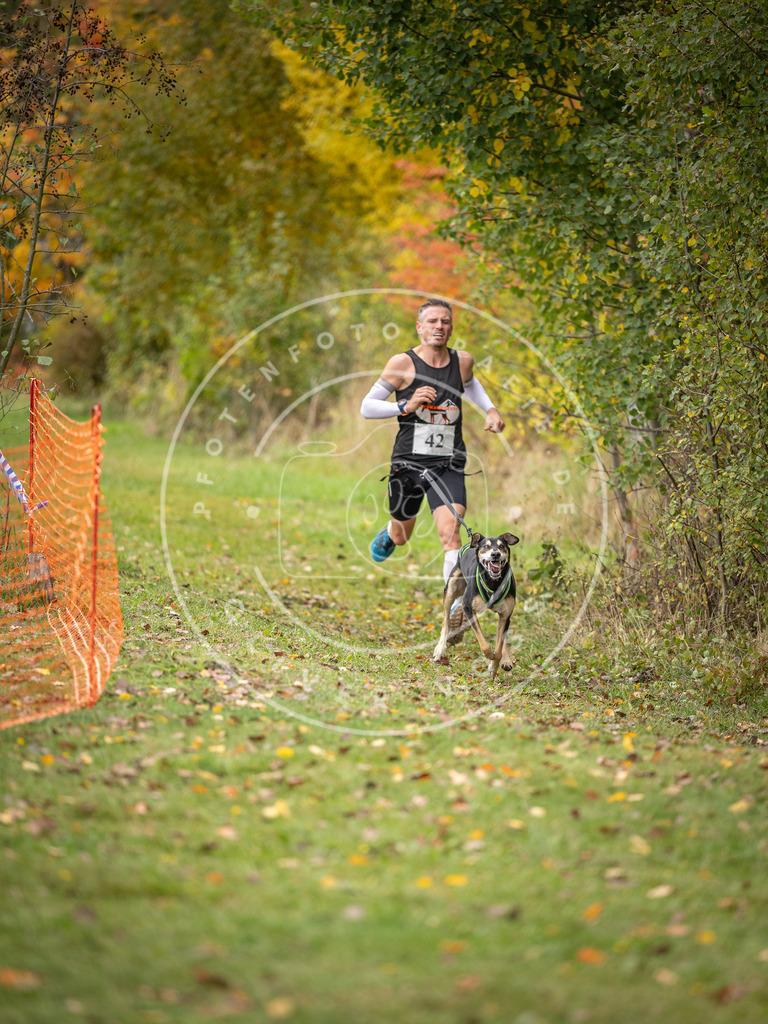 Pfotenfotografie_DV3A2311 | Hundefotografie, Tierfotograf, Pfotenfotografie, Fotoshooting Hund, Hunde Portrait, Hundesport, Hundeportraits, Heideshooting, Hunde, Sportfotograf, Hundefotograf, Turnierhundsport, THS,  - Realisiert mit Pictrs.com