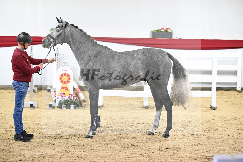Kat-Nr. 28 v. Cornet de Semilly_ZG Nahm_63220826 | hf-fotografie - Realisiert mit Pictrs.com