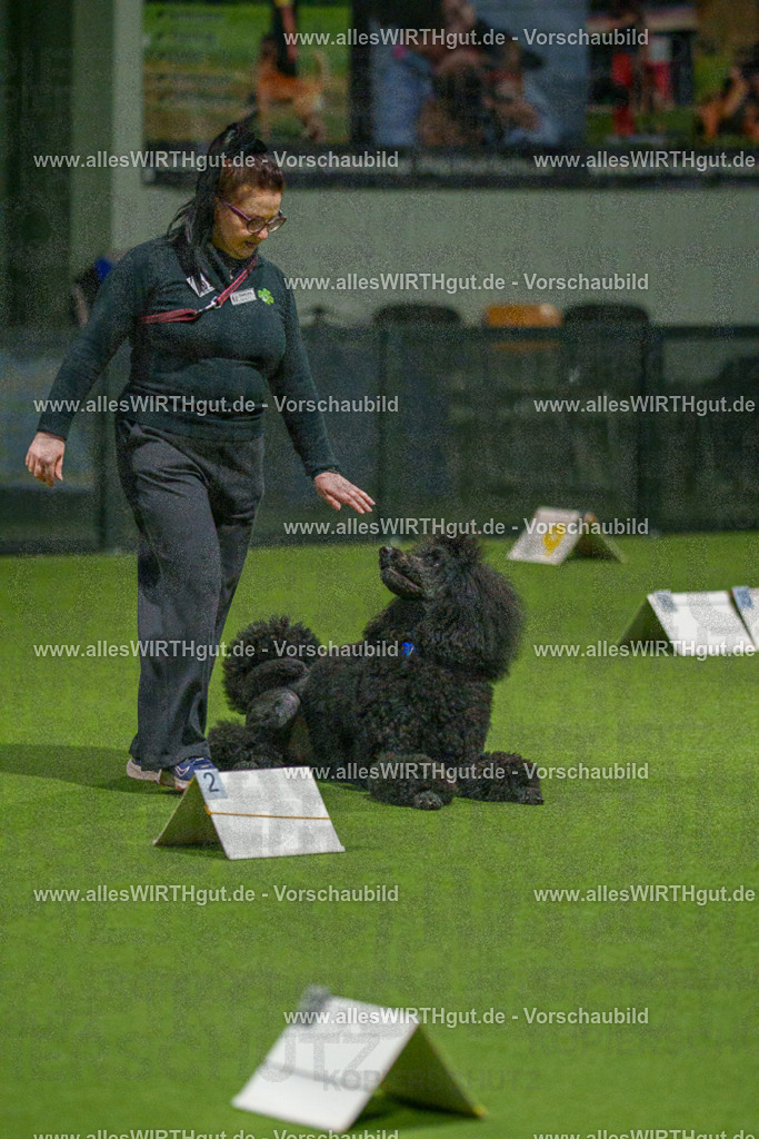 7R508789 | Professionelle Tierfotografie in Mönchengladbach von Daniel Wirth (allesWIRTHgut). Liebevolle & natürliche Bilder von Hunden & Katzen für unvergessliche Erinnerungen.