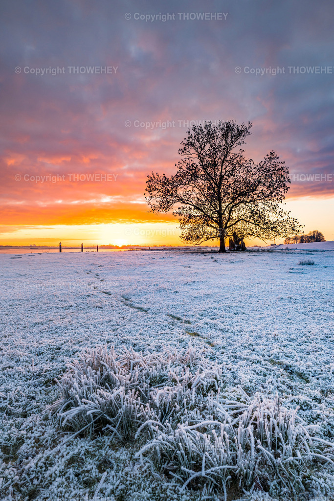 _1020427 | thowehey - Realisiert mit Pictrs.com