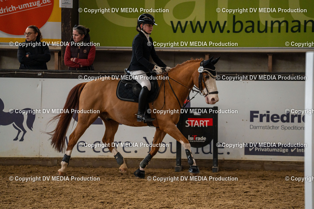 Kranichstein Tag 2-717 | dv-media-shop - Realisiert mit Pictrs.com