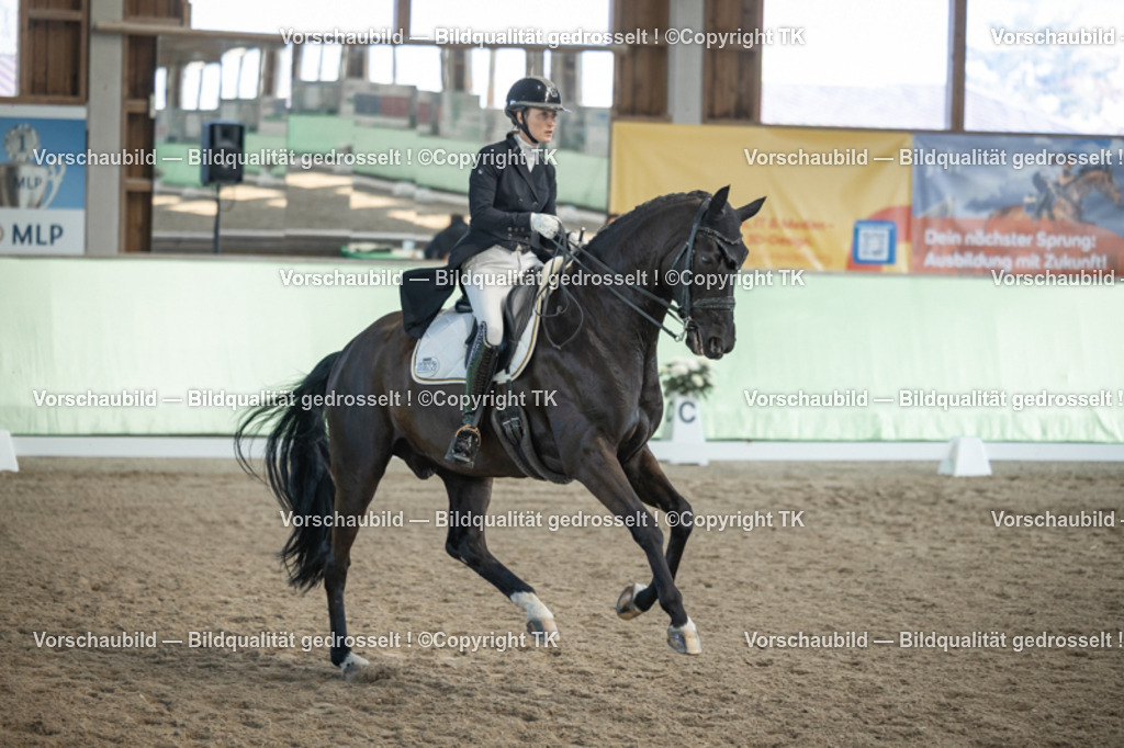 _D5A0296 | Emotionale Pferde- & People-Fotografie rund um Heidelberg, Leimen & Umgebung. Natürliche Fotos von Pferd, Mensch & Familie. Jetzt Termin sichern!