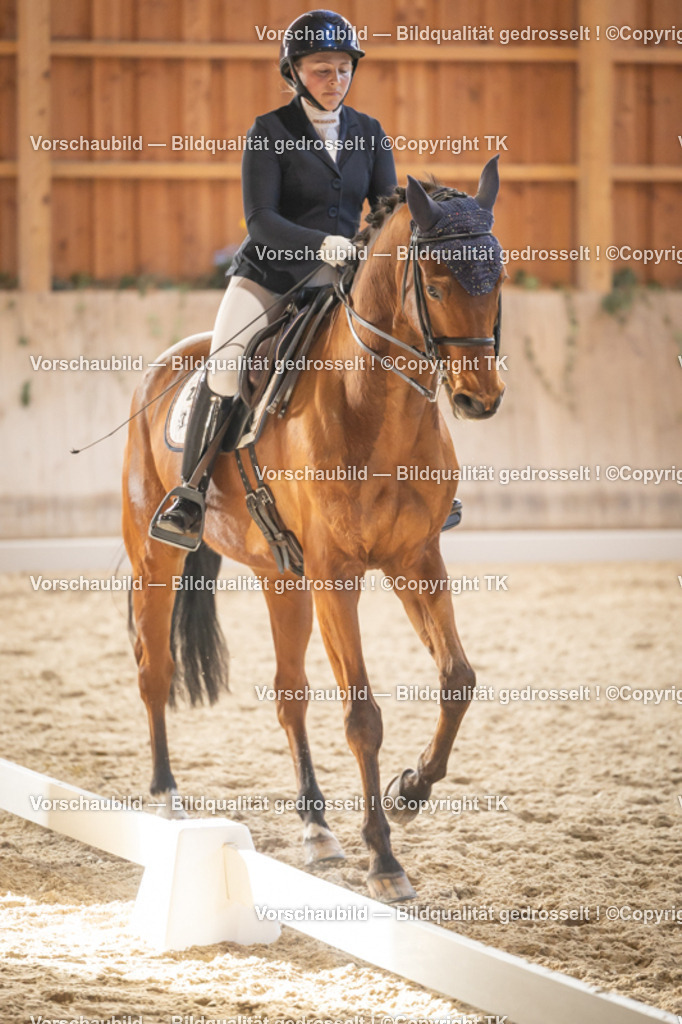 _D5A3238 | Emotionale Pferde- & People-Fotografie rund um Heidelberg, Leimen & Umgebung. Natürliche Fotos von Pferd, Mensch & Familie. Jetzt Termin sichern!