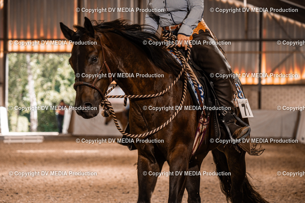 ZH100024 | dv-media-shop - Realisiert mit Pictrs.com