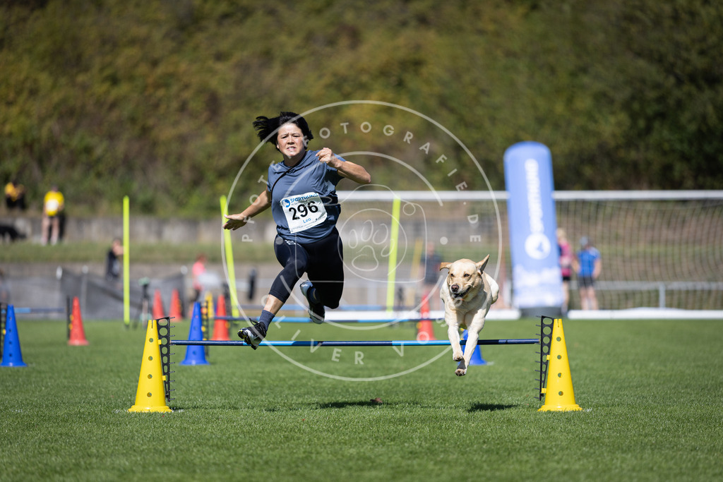 Pfotenfotografie_DV3A7629 | Hundefotografie, Tierfotograf, Pfotenfotografie, Fotoshooting Hund, Hunde Portrait, Hundesport, Hundeportraits, Heideshooting, Hunde, Sportfotograf, Hundefotograf, Turnierhundsport, THS,  - Realisiert mit Pictrs.com