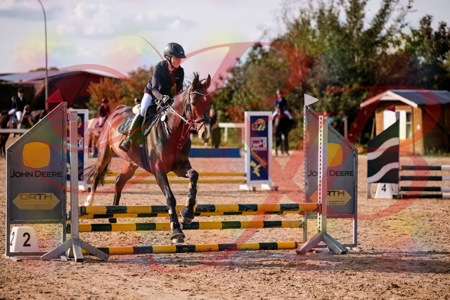 2026_10_03_Siefer-Hof_155928_Z81_79331999 | Professionelle Reitsport-, Turnier- und Eventfotografie von Robert Broda. Galerien mit ausgewählten und bearbeiteten Bildern direkt online ansehen und bestellen.