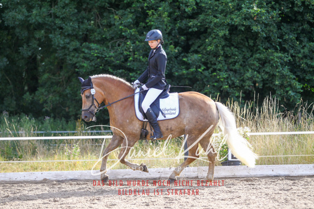 DKP45526 | Turniersportfotografie; Pferdefotografie; Dressurfotografie