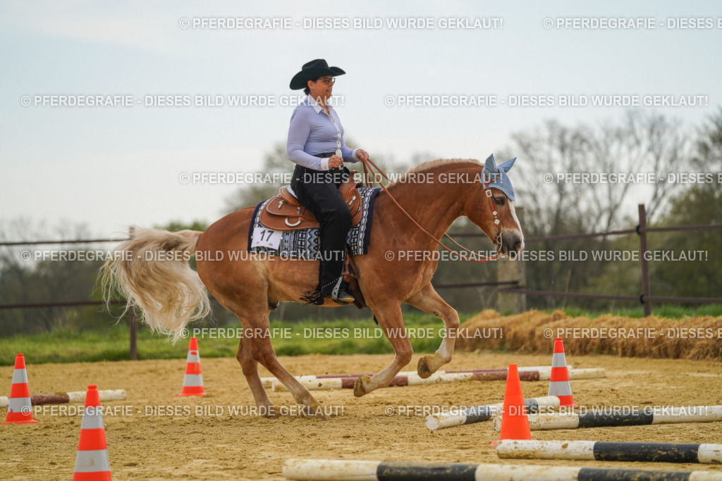 DSC02473 | Pferdegrafie