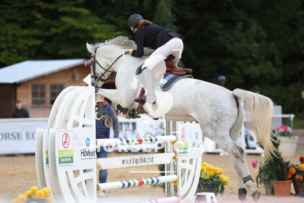 0P6A6931 | Willkommen bei Brunnmayr - Design & Fotografie – Ihrem Spezialisten für Reitturniere und Pferdeveranstaltungen in Oberösterreich, Salzburg und Bayern! Seit über 17 Jahren sind wir leidenschaftlich dabei.