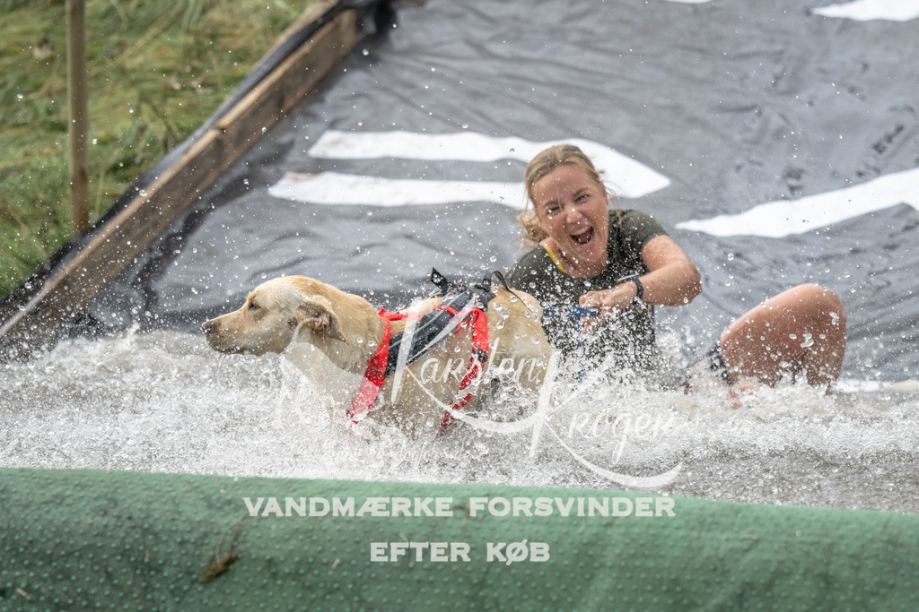 1203_ZZ94213 | kk-dogfotos