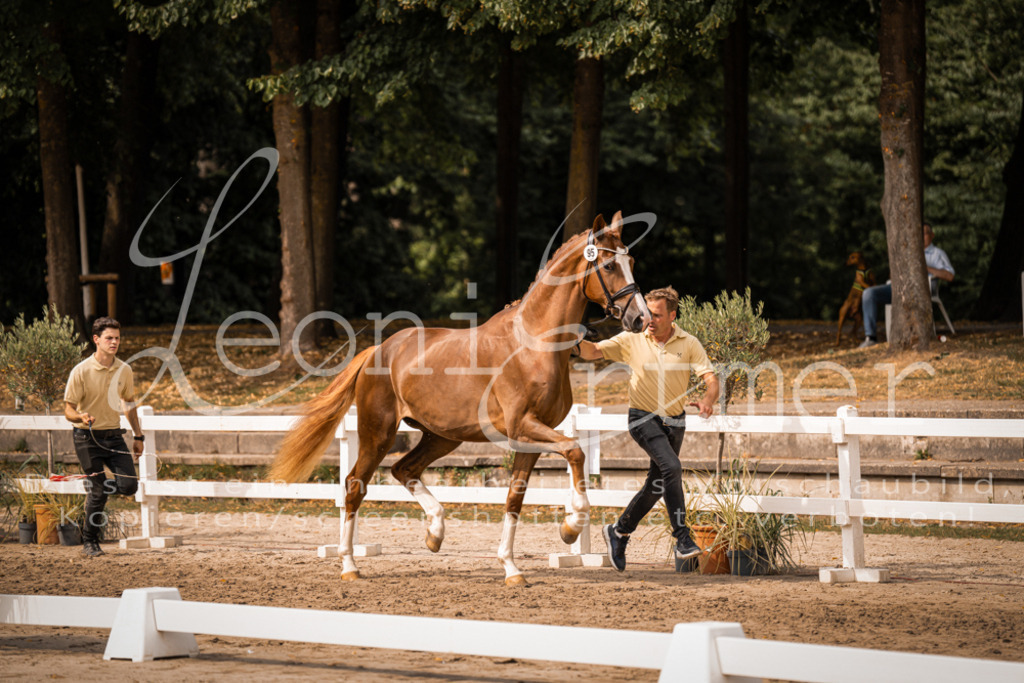 7.Fr00003 | Leoni Ertmer Photography - Realisiert mit Pictrs.com