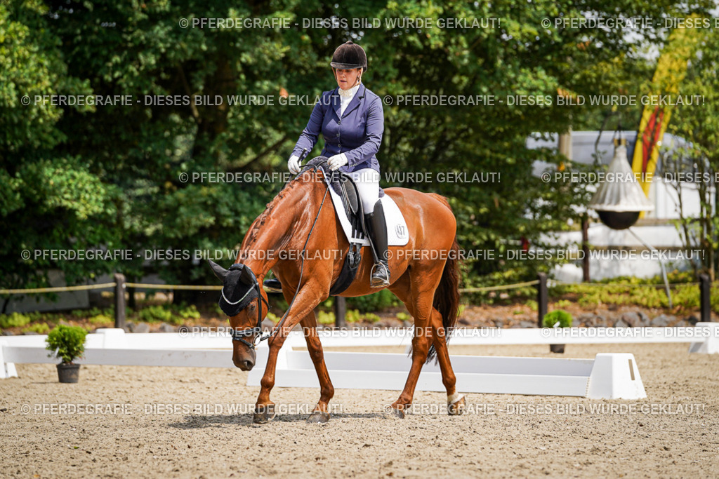 DSC00679 | Pferdegrafie