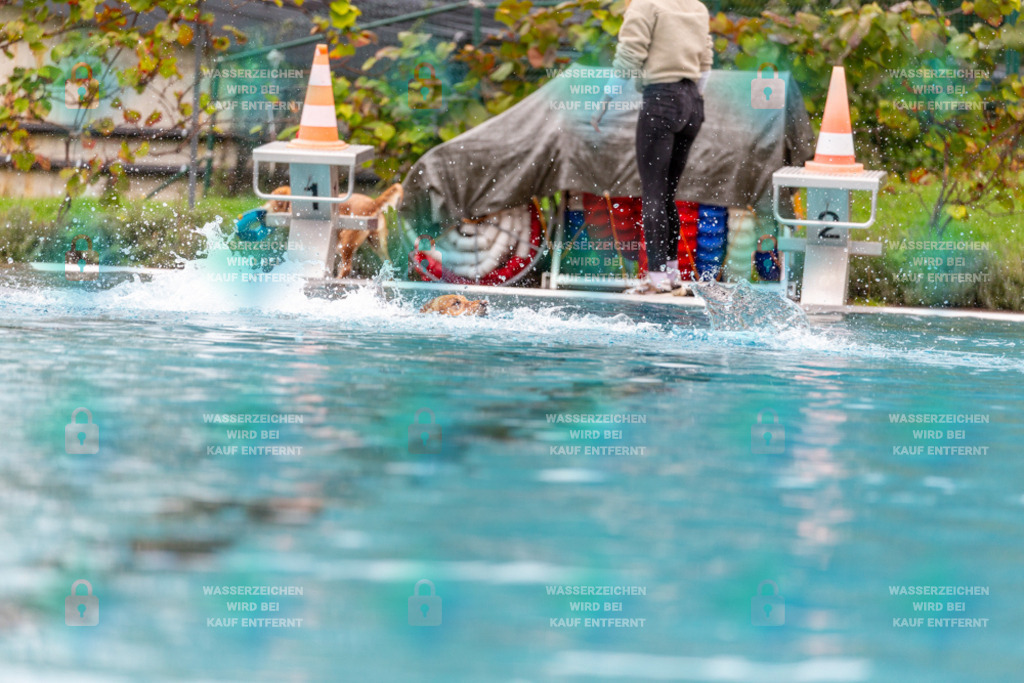 _HP_6069_1000o | HetPix, HetPix Fotodesign, Fotografie, Fotodesign, Webshop, Sportfotografie, Portraitfotografie, Onlineshop, Sportfotografie, Polch, Motorsportfotografie, Eventfotografie