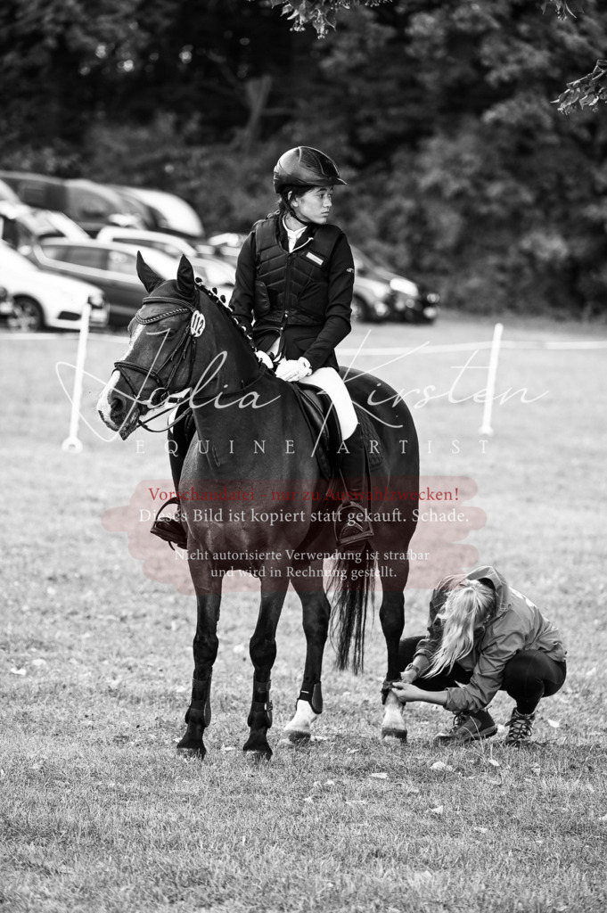 DSC_5748 | Pferde- und Turnierfotografie in Westsachsen. Pferdeportraits, Auftragszeichnungen und intuitive Kunst.