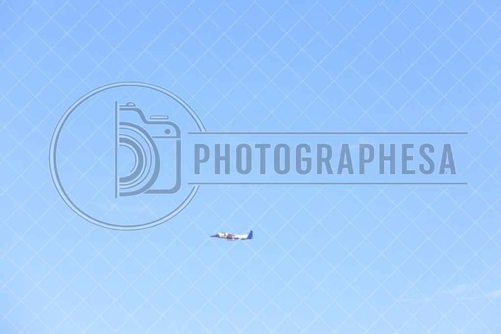 IMG_8850 | photographesa-joergens - Realisiert mit Pictrs.com