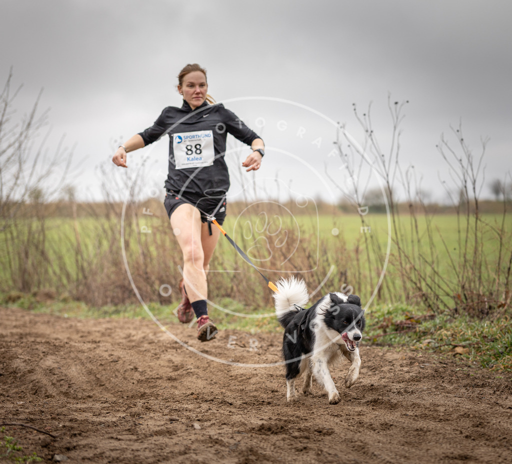 DV3A9958 | Hundefotografie, Tierfotograf, Pfotenfotografie, Fotoshooting Hund, Hunde Portrait, Hundesport, Hundeportraits, Heideshooting, Hunde, Sportfotograf, Hundefotograf, Turnierhundsport, THS,  - Realisiert mit Pictrs.com