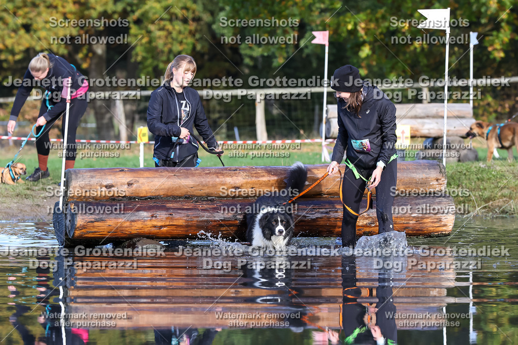 Dog Paparazzi - Strongdog 10-25-8543 | Dog Paparazzi Jeanette Grottendiek Fotografie & Videografie - Realisiert mit Pictrs.com