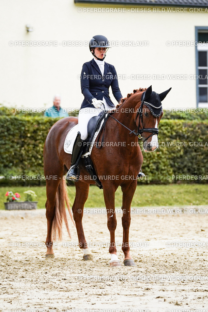 DSC06981 | Pferdegrafie