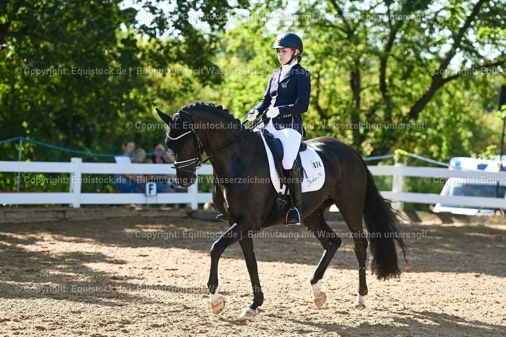 20230715_06_Dressurpferdeprfg. Kl.A_0235 | equistock