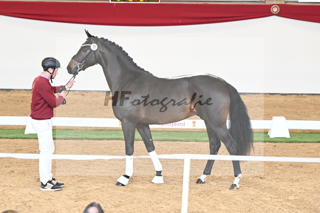 Kat.-Nr. 78 v. Springbank II VH_Reichert_2250737 | hf-fotografie - Realisiert mit Pictrs.com