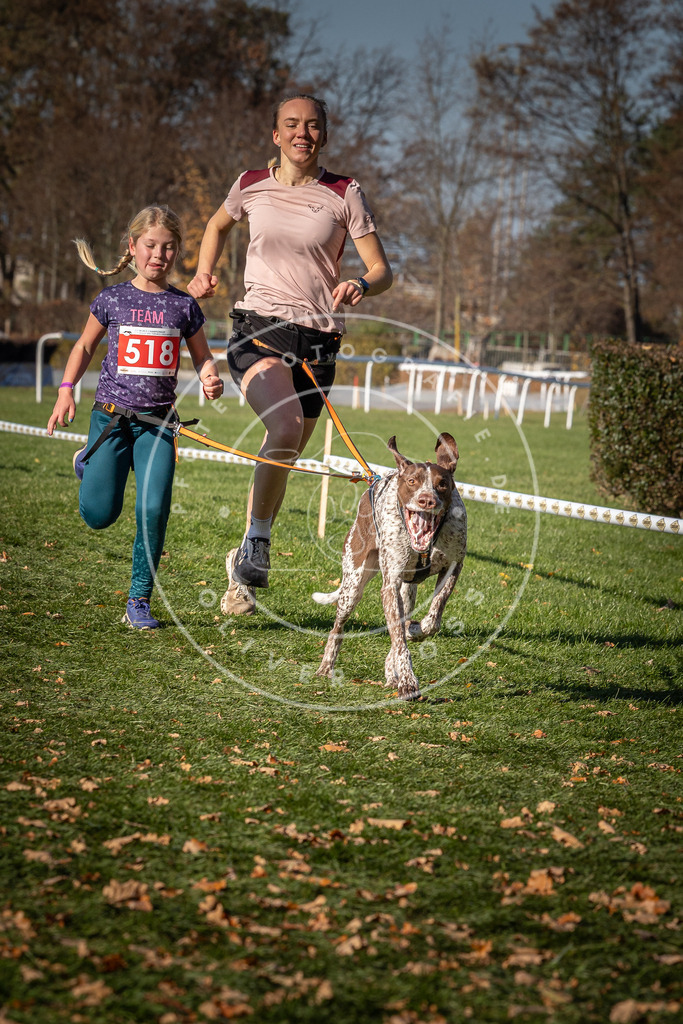CaniXpix_0L8A7023 | Hundefotografie, Tierfotograf, Pfotenfotografie, Fotoshooting Hund, Hunde Portrait, Hundesport, Hundeportraits, Heideshooting, Hunde, Sportfotograf, Hundefotograf, Turnierhundsport, THS,  - Realisiert mit Pictrs.com