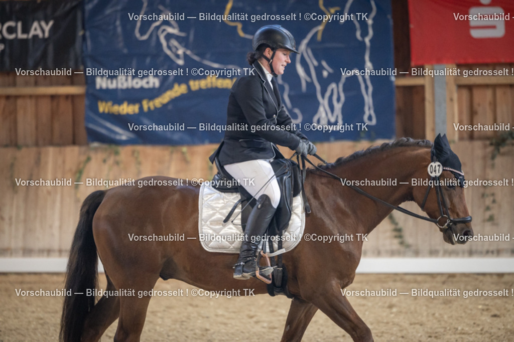 _D5A4515 | Emotionale Pferde- & People-Fotografie rund um Heidelberg, Leimen & Umgebung. Natürliche Fotos von Pferd, Mensch & Familie. Jetzt Termin sichern!