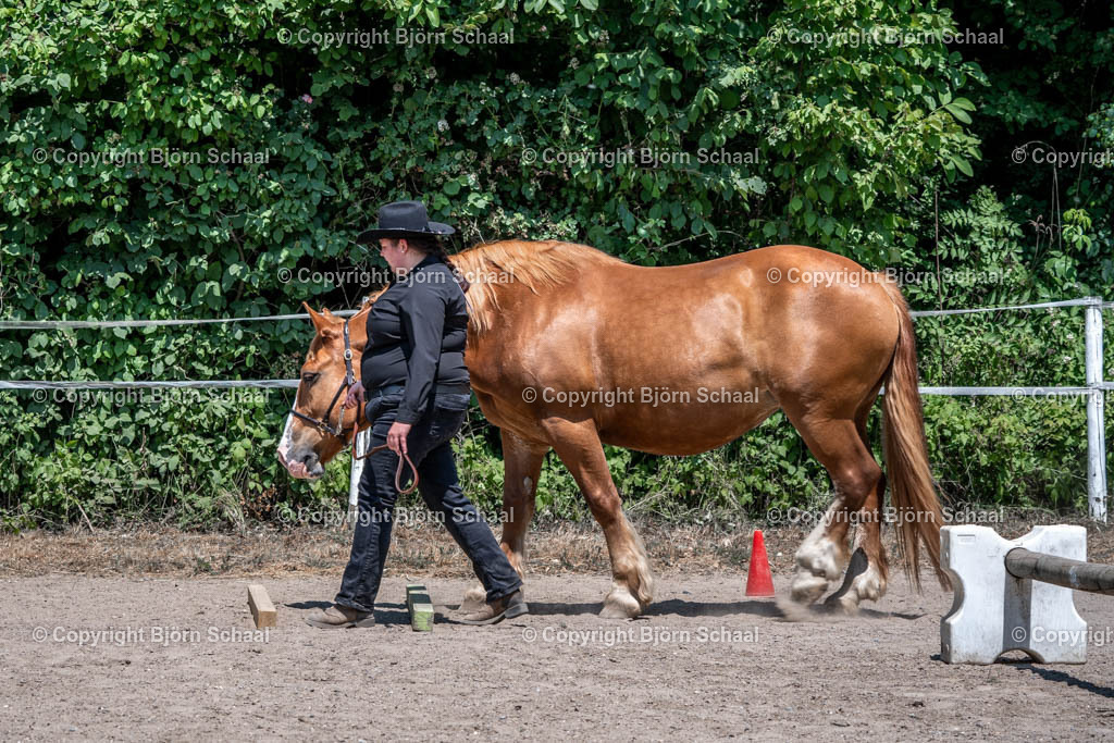 HEB02392 | BS-foto