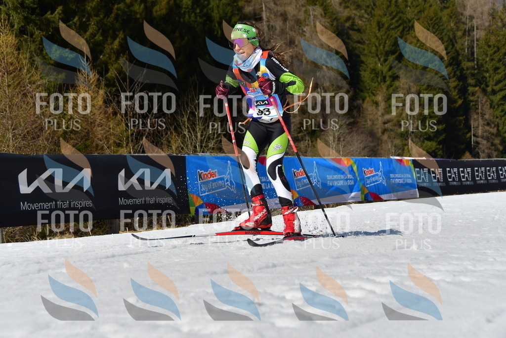 _DSC9517 | holidayphoto