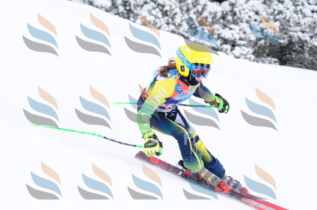 C3857 | holidayphoto