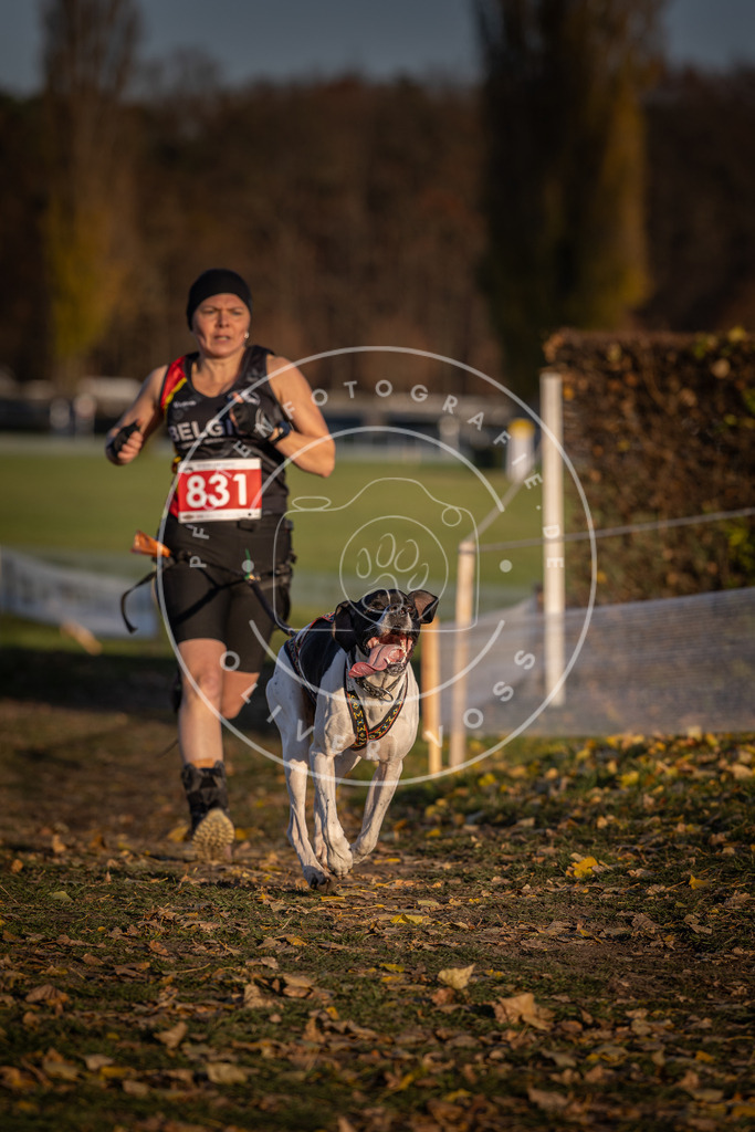 CaniXpix_DV3A3431 | Hundefotografie, Tierfotograf, Pfotenfotografie, Fotoshooting Hund, Hunde Portrait, Hundesport, Hundeportraits, Heideshooting, Hunde, Sportfotograf, Hundefotograf, Turnierhundsport, THS,  - Realisiert mit Pictrs.com