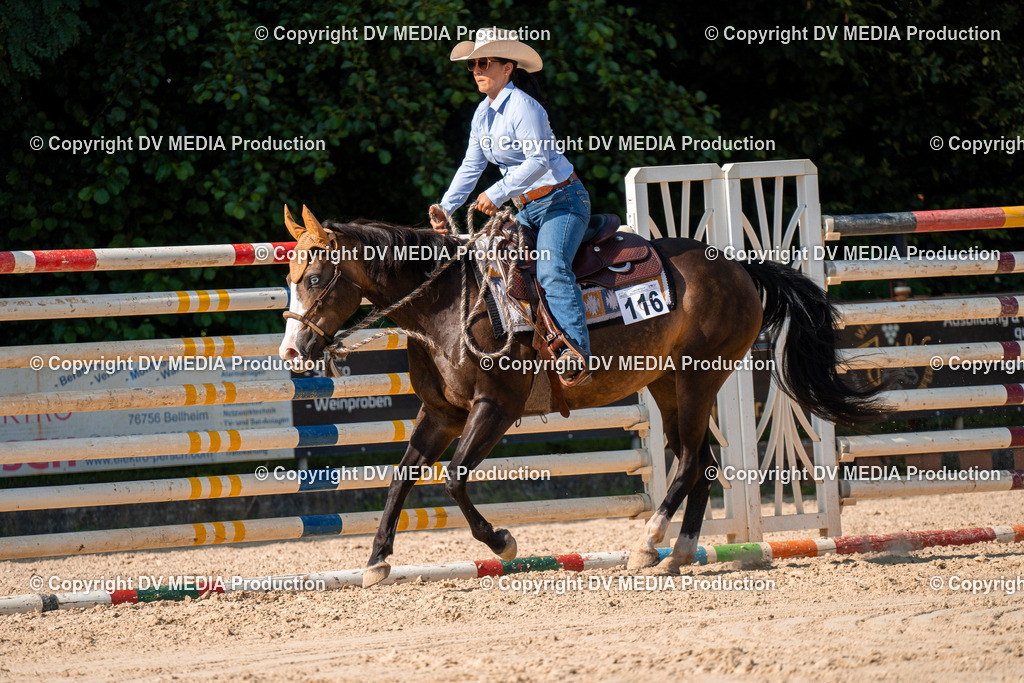 ZH100753 | dv-media-shop - Realisiert mit Pictrs.com