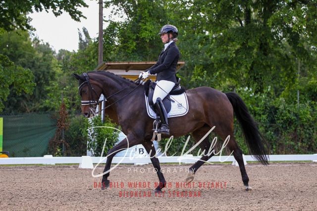 DKP40879 | Turnierfotos kaufen im Webshop von Daniel Kuhl Photography – entdecke professionelle Reitsportfotos aus Turnieren & Events. Hochwertige Turnierbilder online bestellen & sichern. Jetzt Fotos von Reitsportturnieren kaufen!