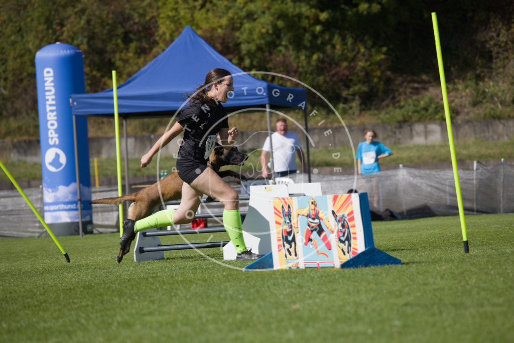 0L8A7488 | Hundefotografie, Tierfotograf, Pfotenfotografie, Fotoshooting Hund, Hunde Portrait, Hundesport, Hundeportraits, Heideshooting, Hunde, Sportfotograf, Hundefotograf, Turnierhundsport, THS,  - Realisiert mit Pictrs.com