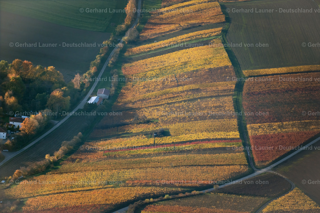 4042890 | Weinberge bei Mainstockheim, Weinlagen Hofstück