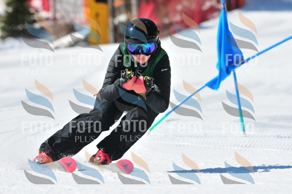 C3963 | holidayphoto