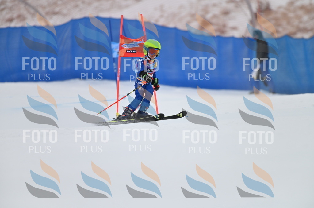 BGV_0820 | holidayphoto