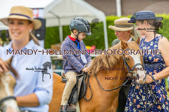 Spiele (246) | mandyhollmannphotographie