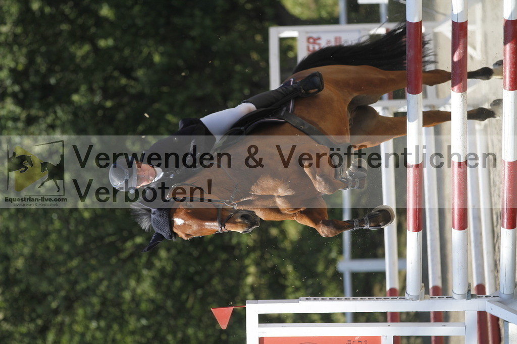 _MG_1774 | equestrian-live-com