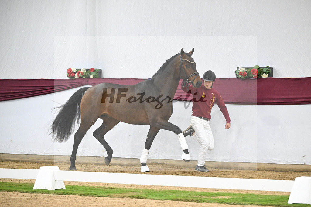 Kat-Nr. 123 Elastic x Belissimo M_Limbecker GnbH u Co. KG_47254061 | hf-fotografie - Realisiert mit Pictrs.com