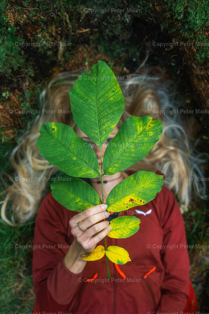 Talboden_Osttirol_Erlebnisraum_Wald_23_Peter_Maier-2118 | piet_flosse