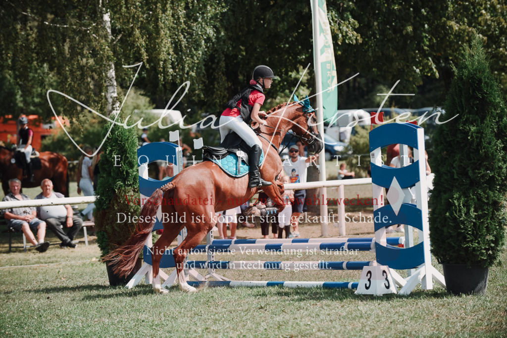 DSC_5791 | Pferde- und Turnierfotografie in Westsachsen. Pferdeportraits, Auftragszeichnungen und intuitive Kunst.