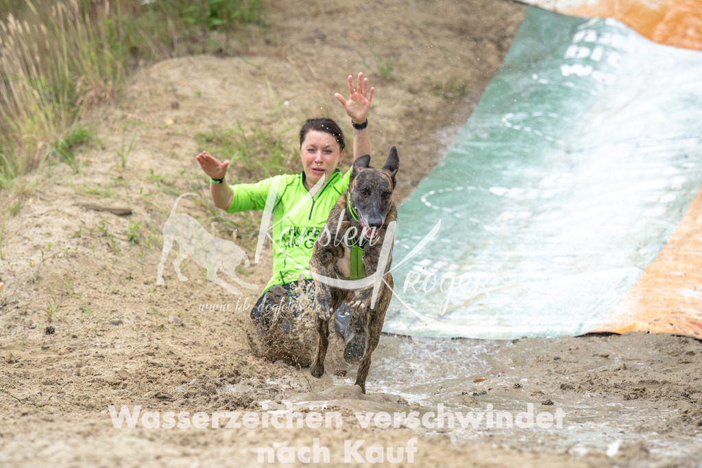 0954_ZZ91749-Verbessert-RR | kk-dogfotos