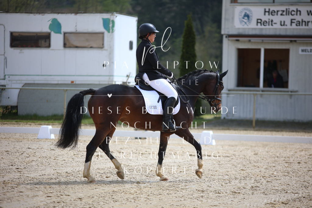 IMGT2582 | pl-fotografie