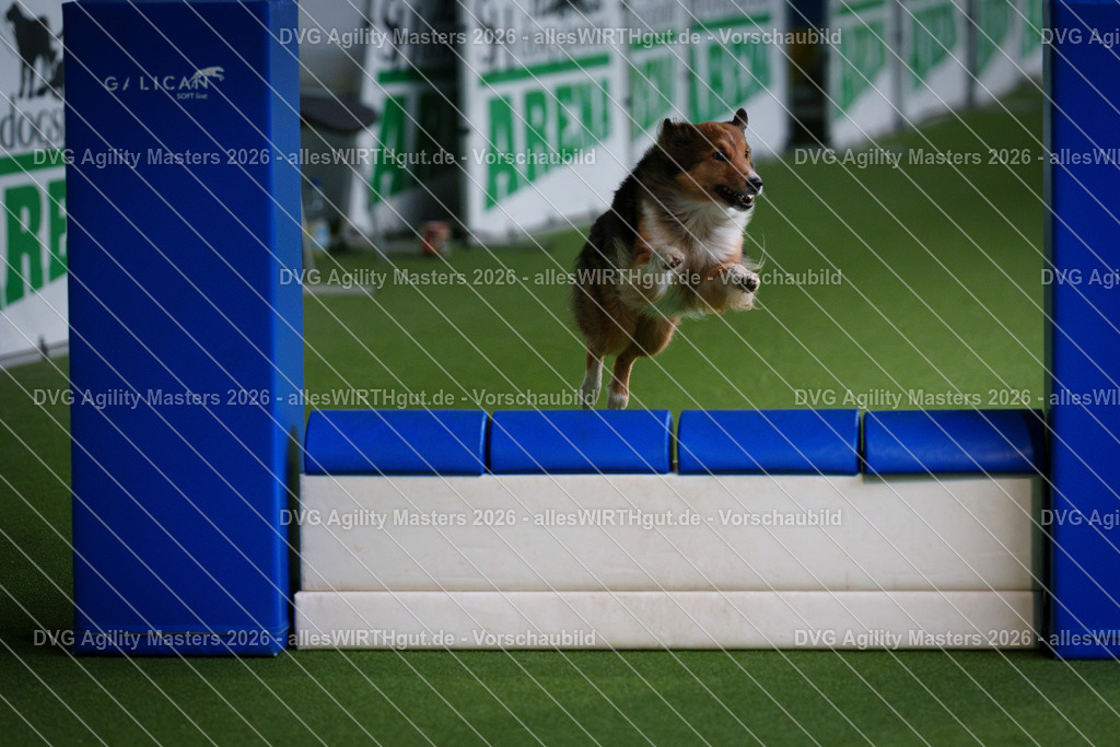 allesWIRTHgut_Tierfotografie-DVG_Agility_Masters_2026-11_08-7R504941 | Professionelle Tierfotografie in Mönchengladbach von Daniel Wirth (allesWIRTHgut). Liebevolle & natürliche Bilder von Hunden & Katzen für unvergessliche Erinnerungen.